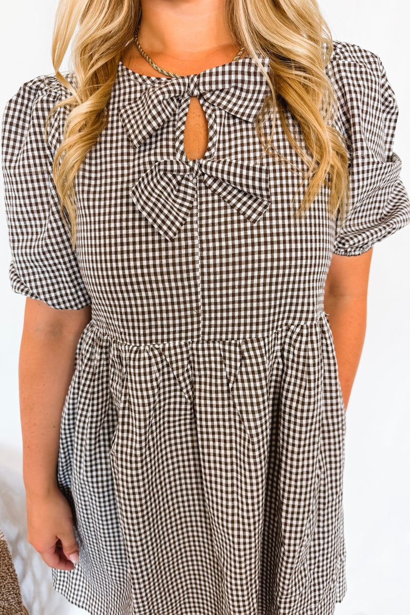 Harvest Cutie Gingham Front Bow Mini Dress - Brown