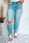 Meara High Rise Distressed Flare Risen Jeans - Light